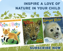 Inspire a love of nature in your child